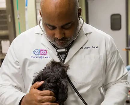 the village vets stone mountain|Emergency Veterinarian in Stone Mountain, GA .
